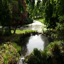 image of lake in park with green trees and bushes