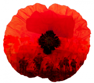 the story behind the remembrance poppy