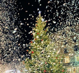 Christmas trees making Liverpool city centre merry and bright this festive season!