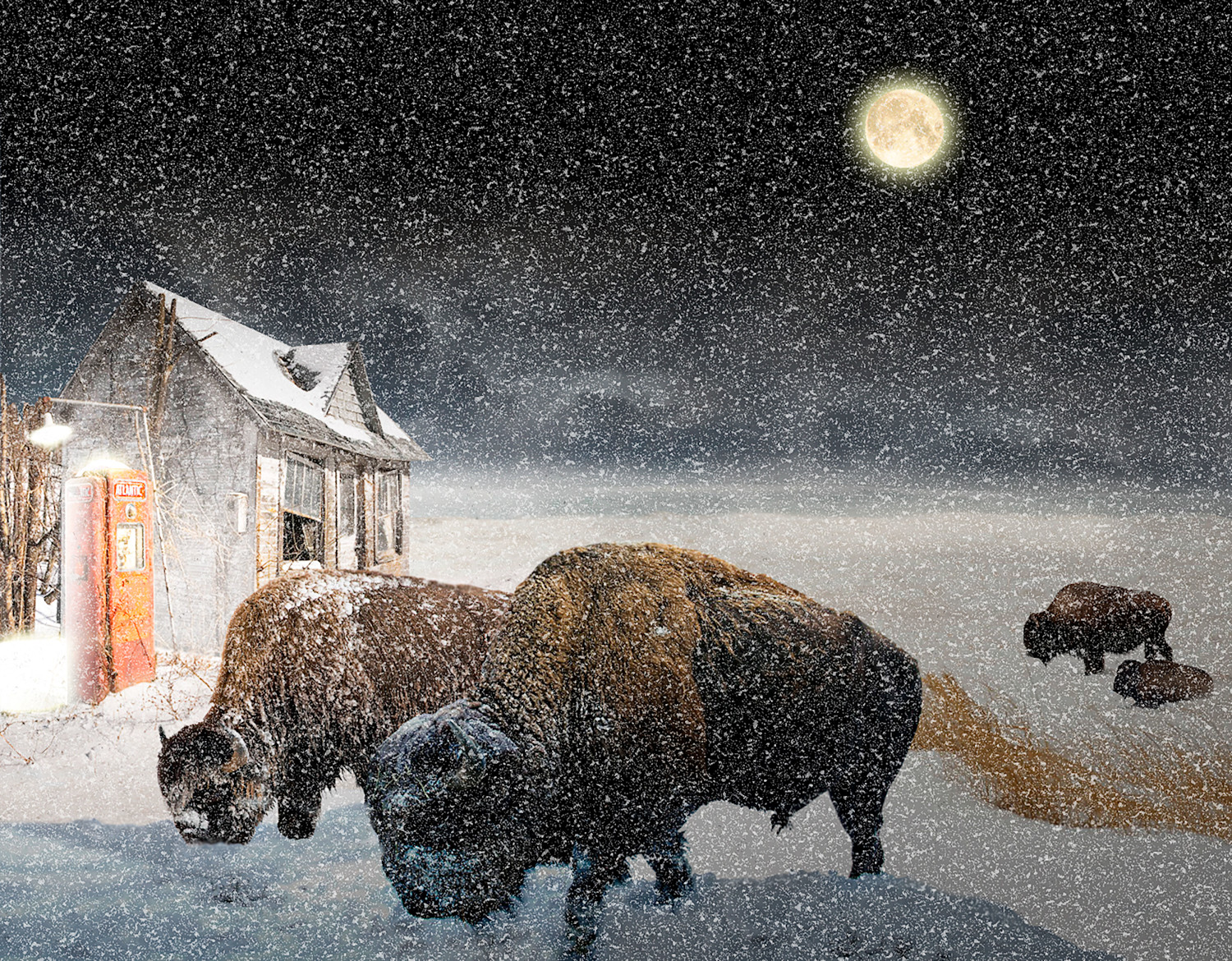 Pixel image by Vincent Kelly of Buffalo Winter in the dot-art gallery