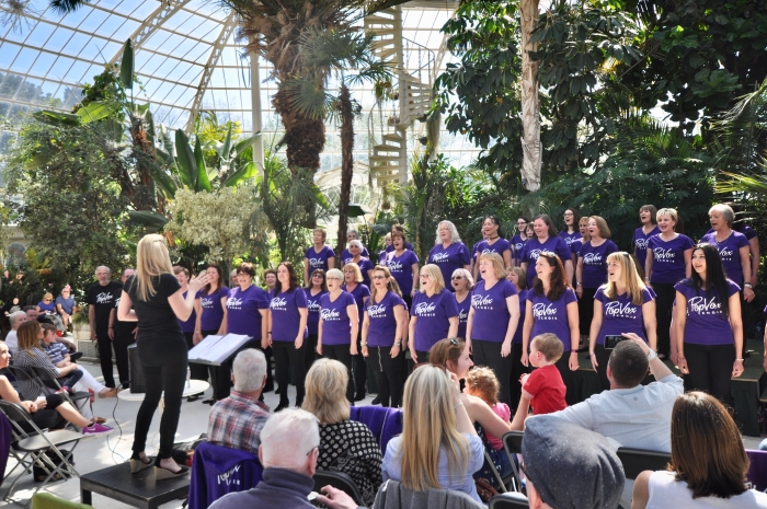 Local Choir ‘Sing It Out’ Through Lockdown! - Culture Liverpool