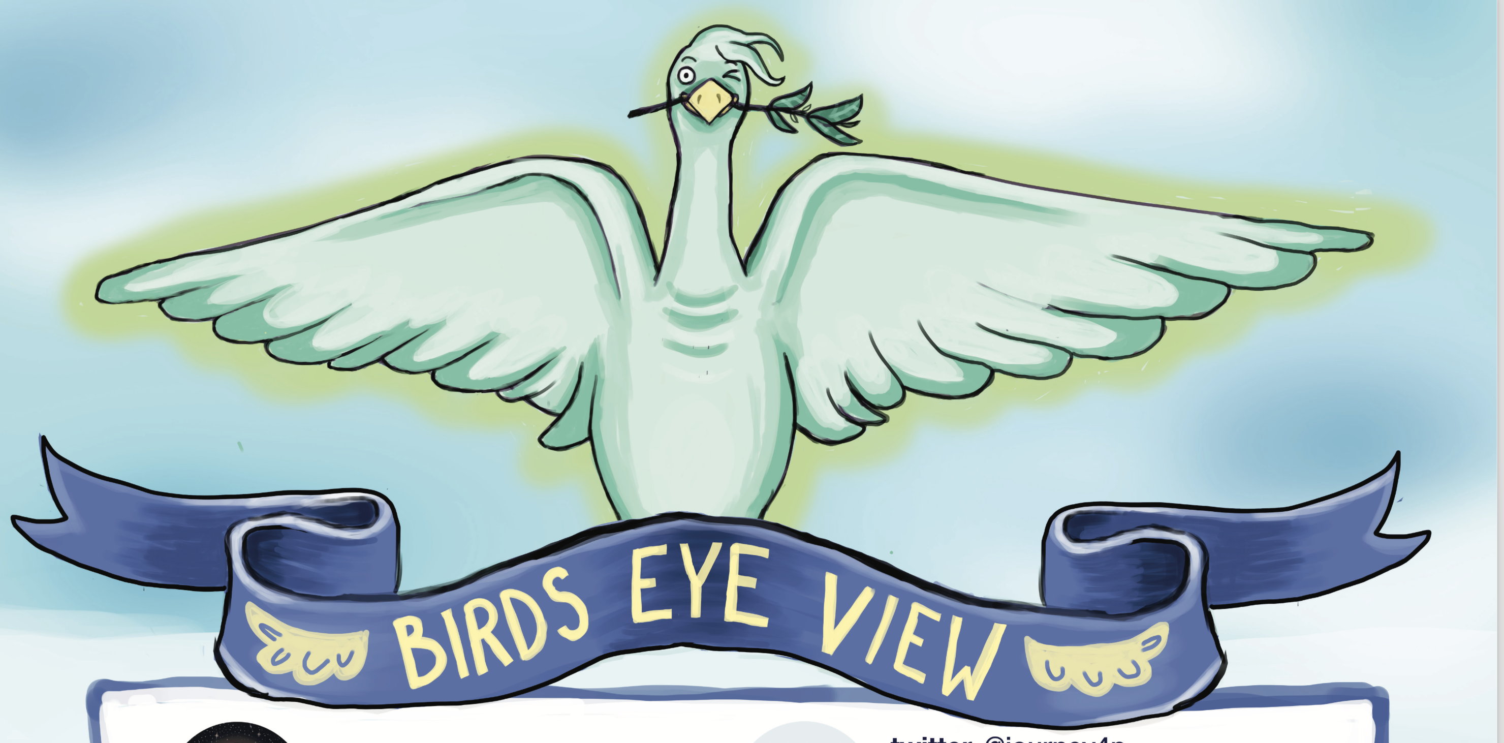 cartoon image of a liver bird looking at the viewer with a blue banner underneath saying BIRDS EYE VIEW