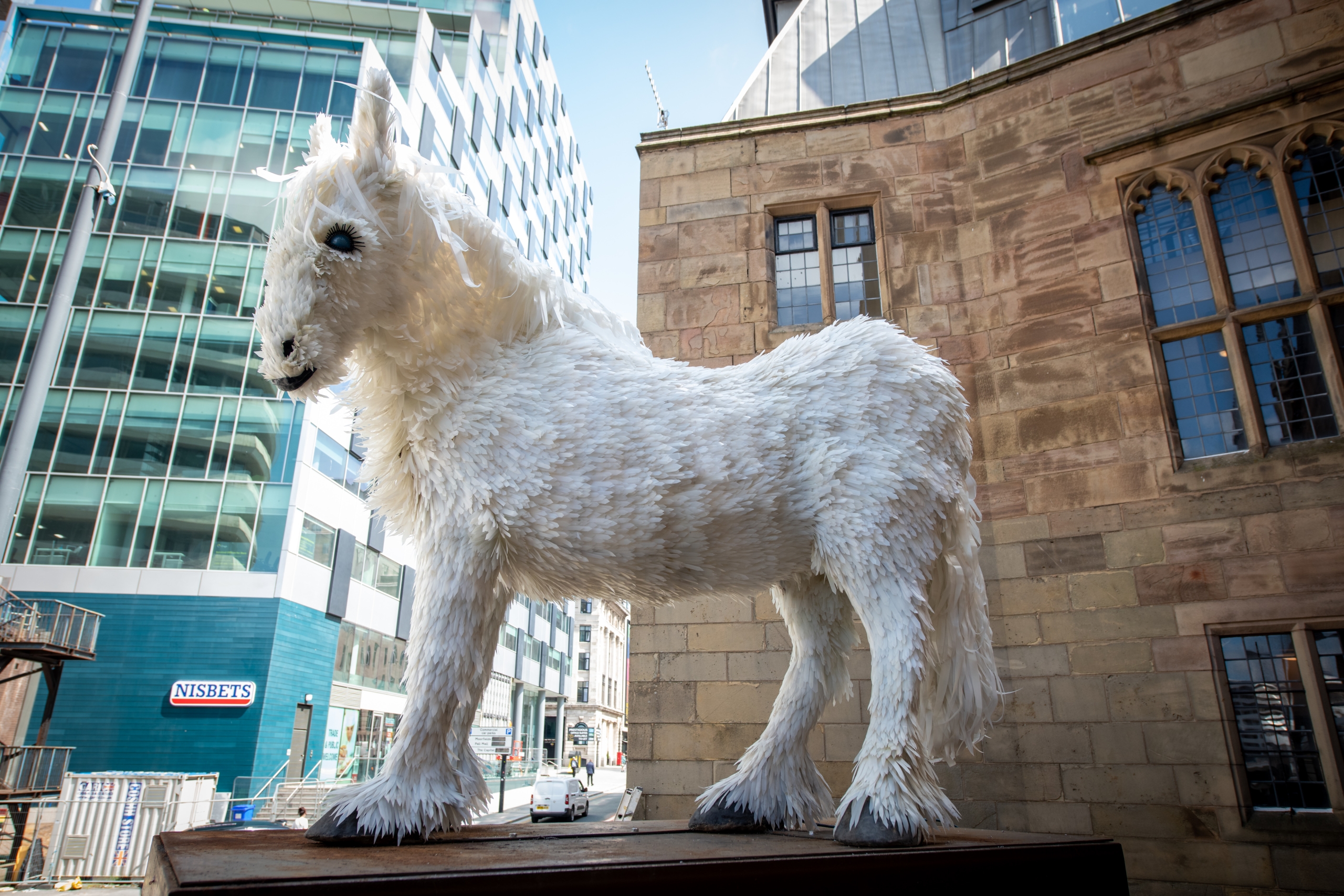 white artistic horse on the liverpool plinth