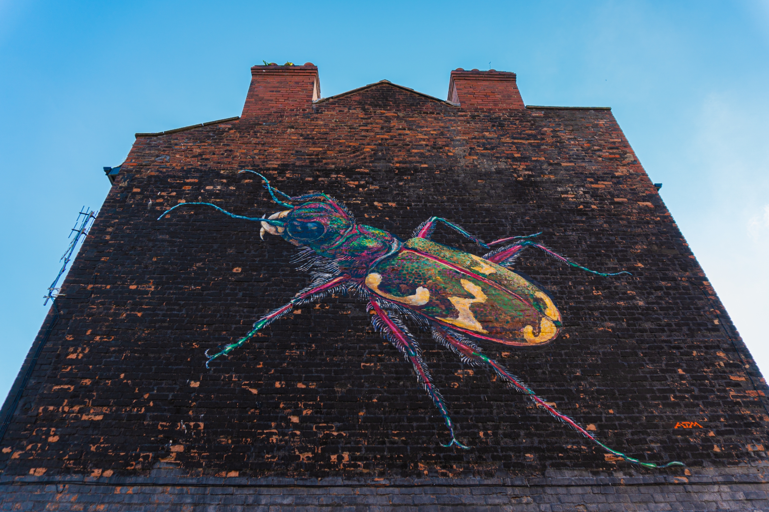 street art mural of a colourful beetle on the side of a wall