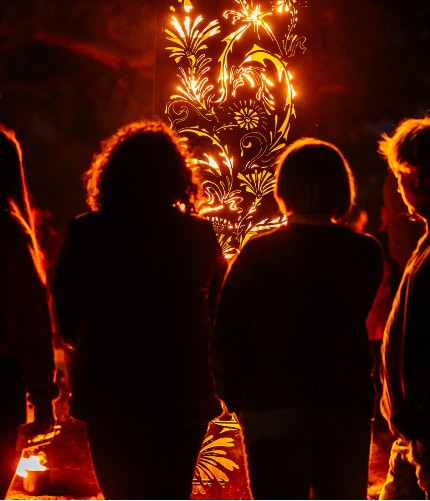 silhouettes of people standing illuminated by orange and red light to show volunteer