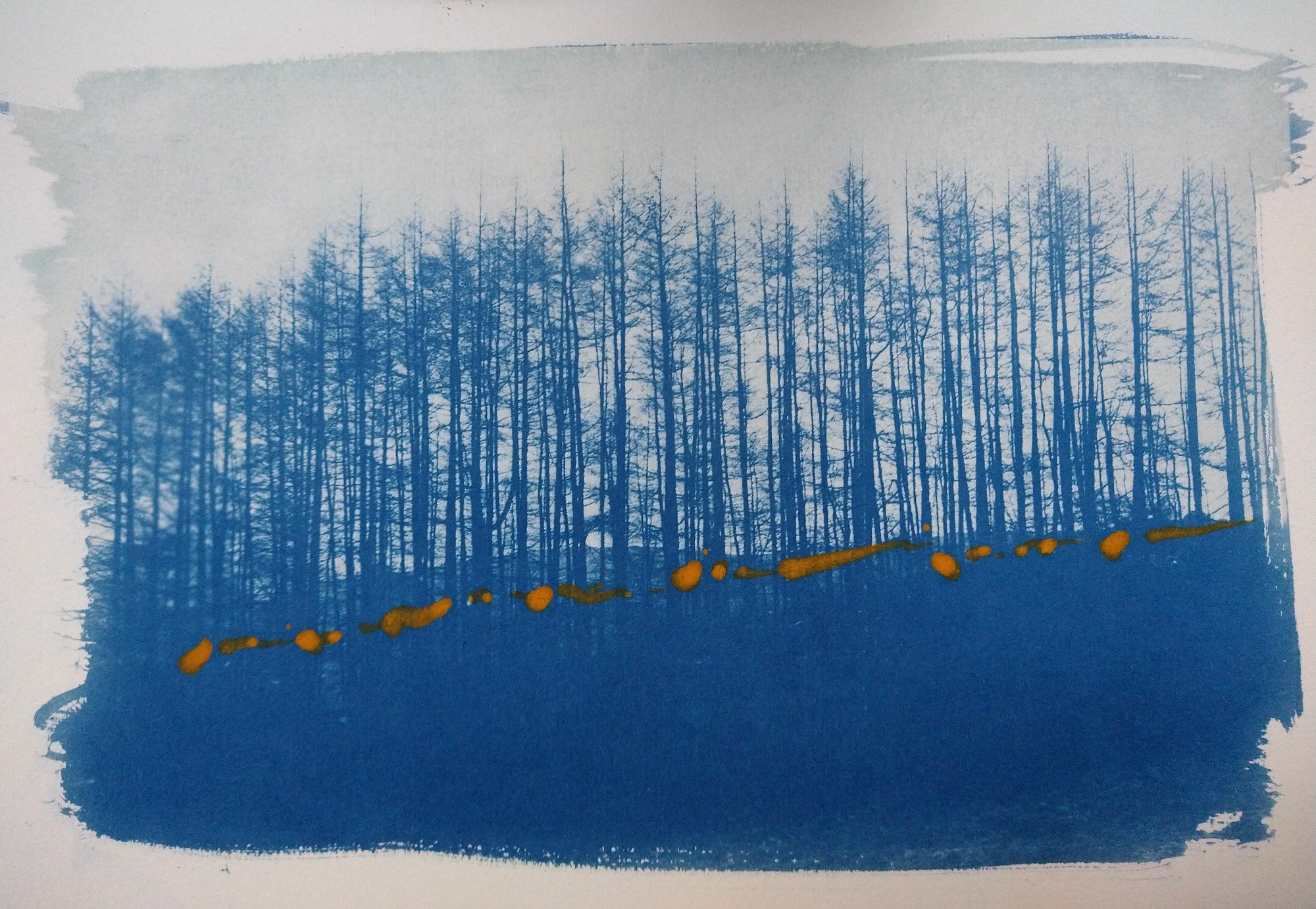 illustration in blue by artist chris routledge of larch trees as part of dot art exhibition