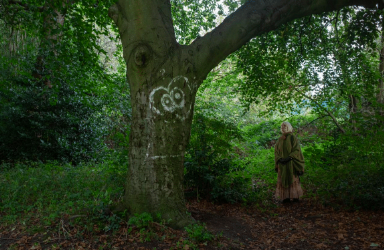 a large tree in the forest with a lady stood next to it