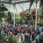 Liverpool arab arts festival in the palm house filled with people