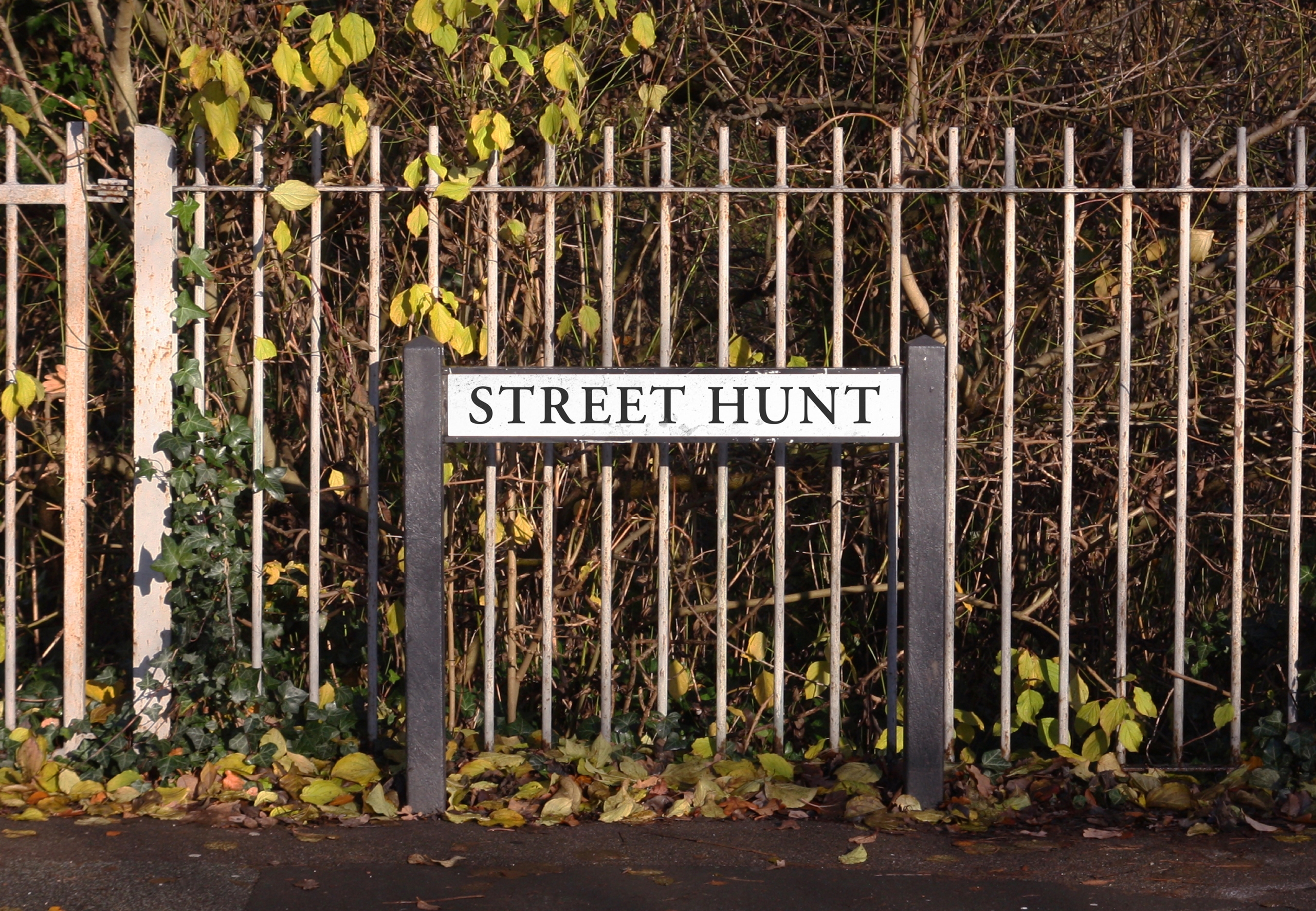 street sign says street hunt in front of a park railing in st helens