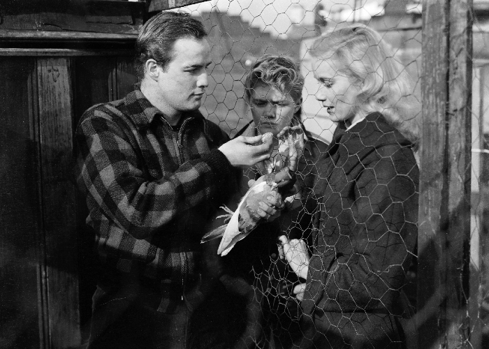 Marlon Brando in the film On the Waterfront