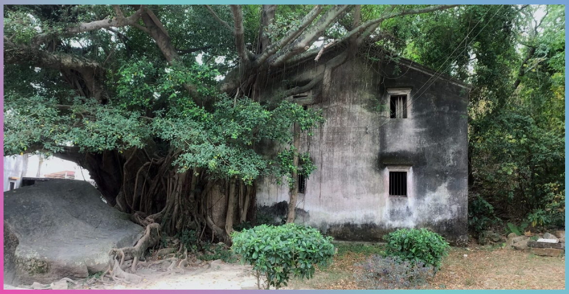 A home in China surrounded by trees.