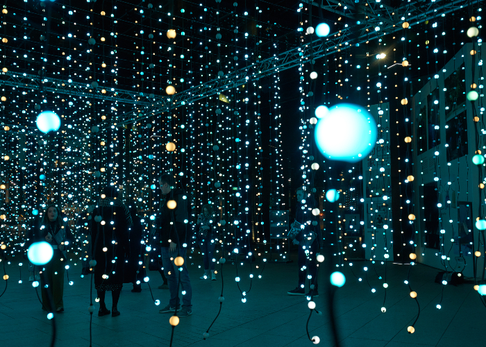 submergence light installation as part of River of Light 2019