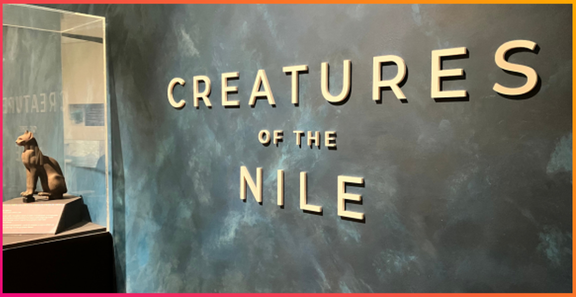 Creatures of the Nile exhibition at Victoria Gallery and Museum, Liverpool