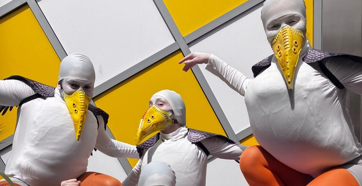 group of people dressed in seagull costumes with white bodies, grey wings, orange web feet and yellow beaks