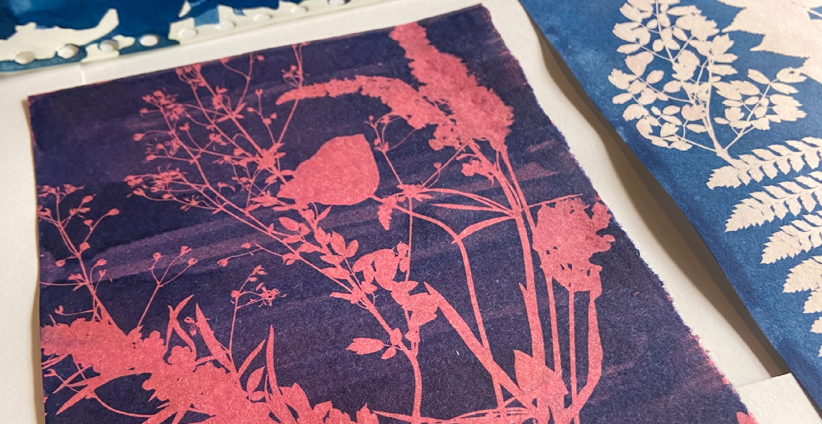 An image of two cyanotype floral prints.