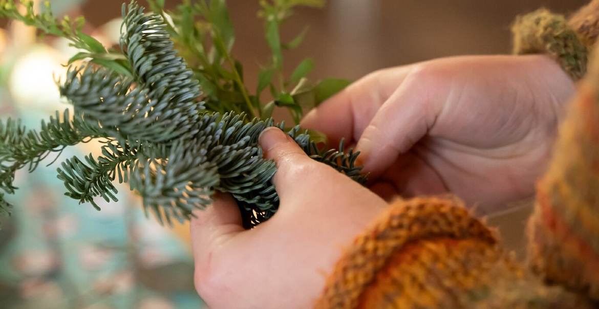 A close up image of a hand holding foliage.