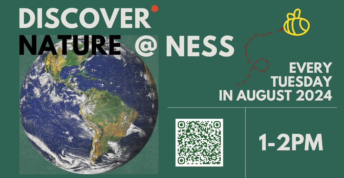 Graphc artwork featring an image of the earth and an illustration of a bee. Text reds "Discovr natre @ ness. Every Tuesday in August."